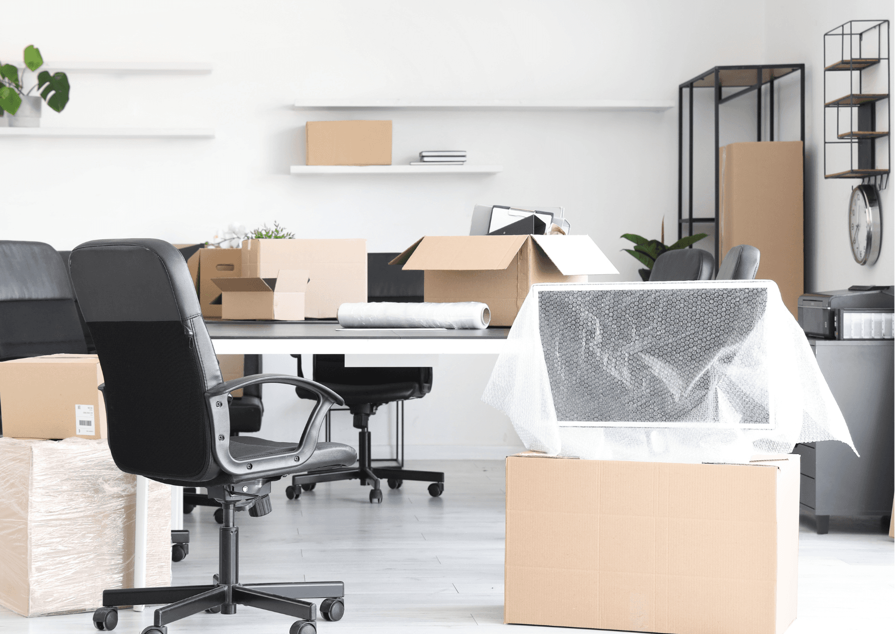 Professional Services Firm