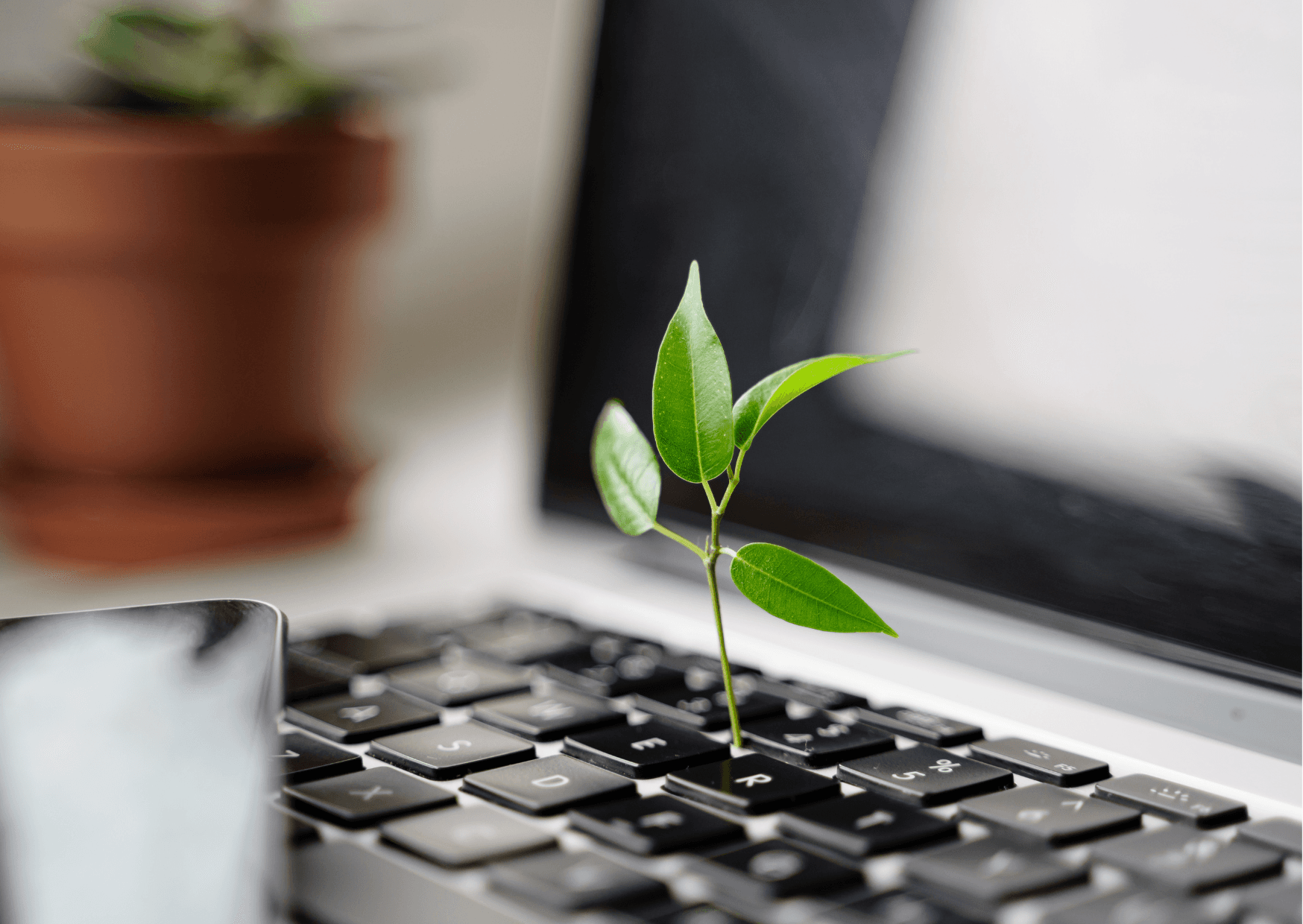 Sustainability Commitment