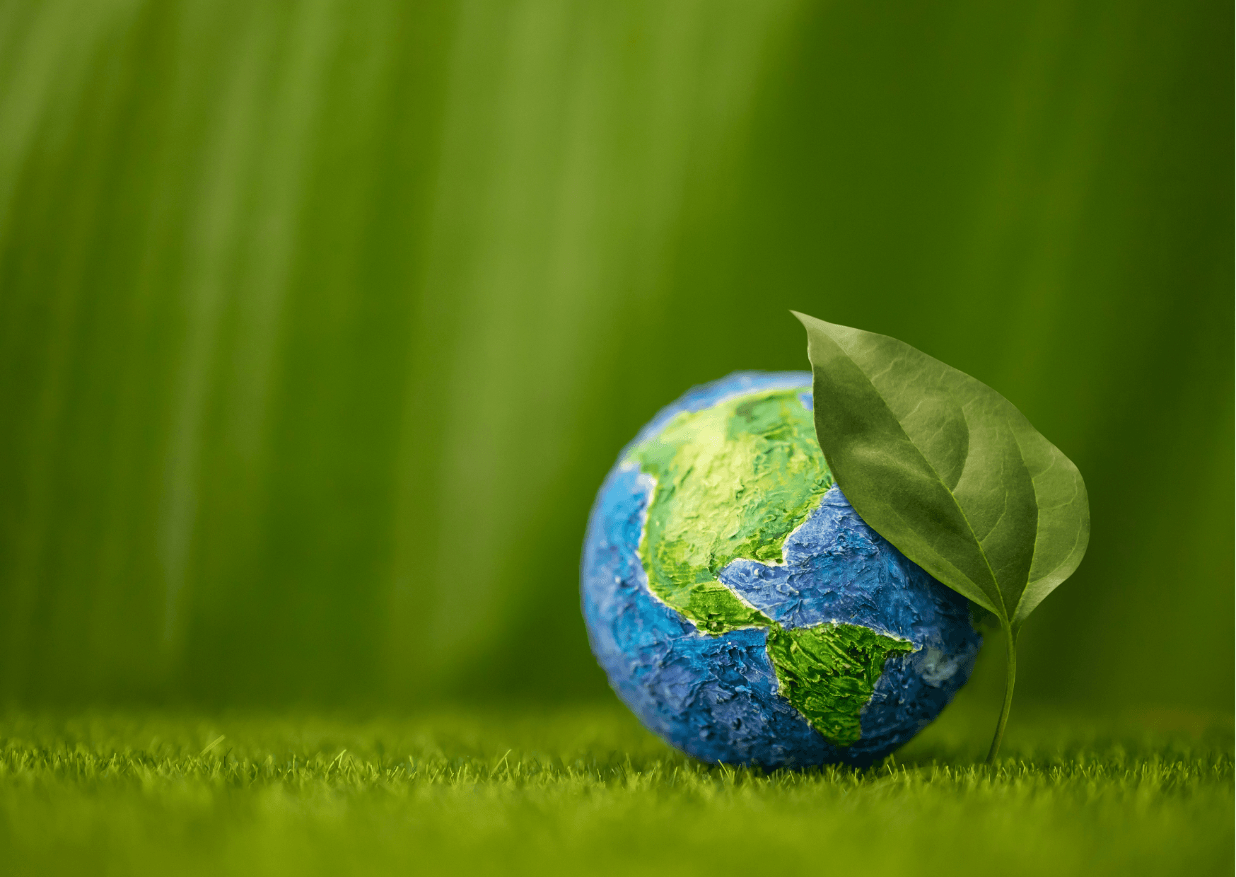 Sustainability Commitment